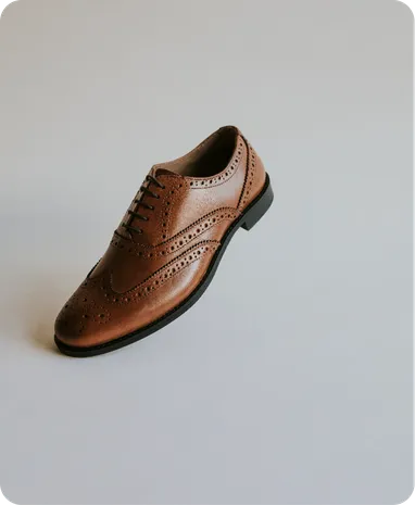 Image of a leather shoe horizantal